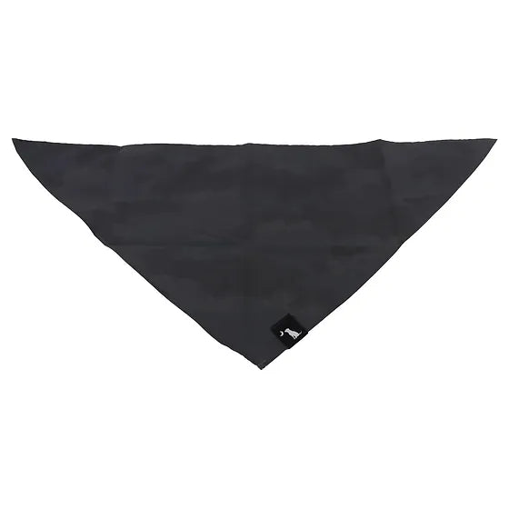 Local Boy Dog Bandana