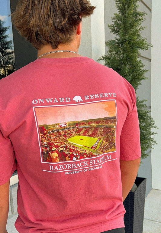 Person wearing a pink t-shirt with a graphic of Razorback Stadium on the back.