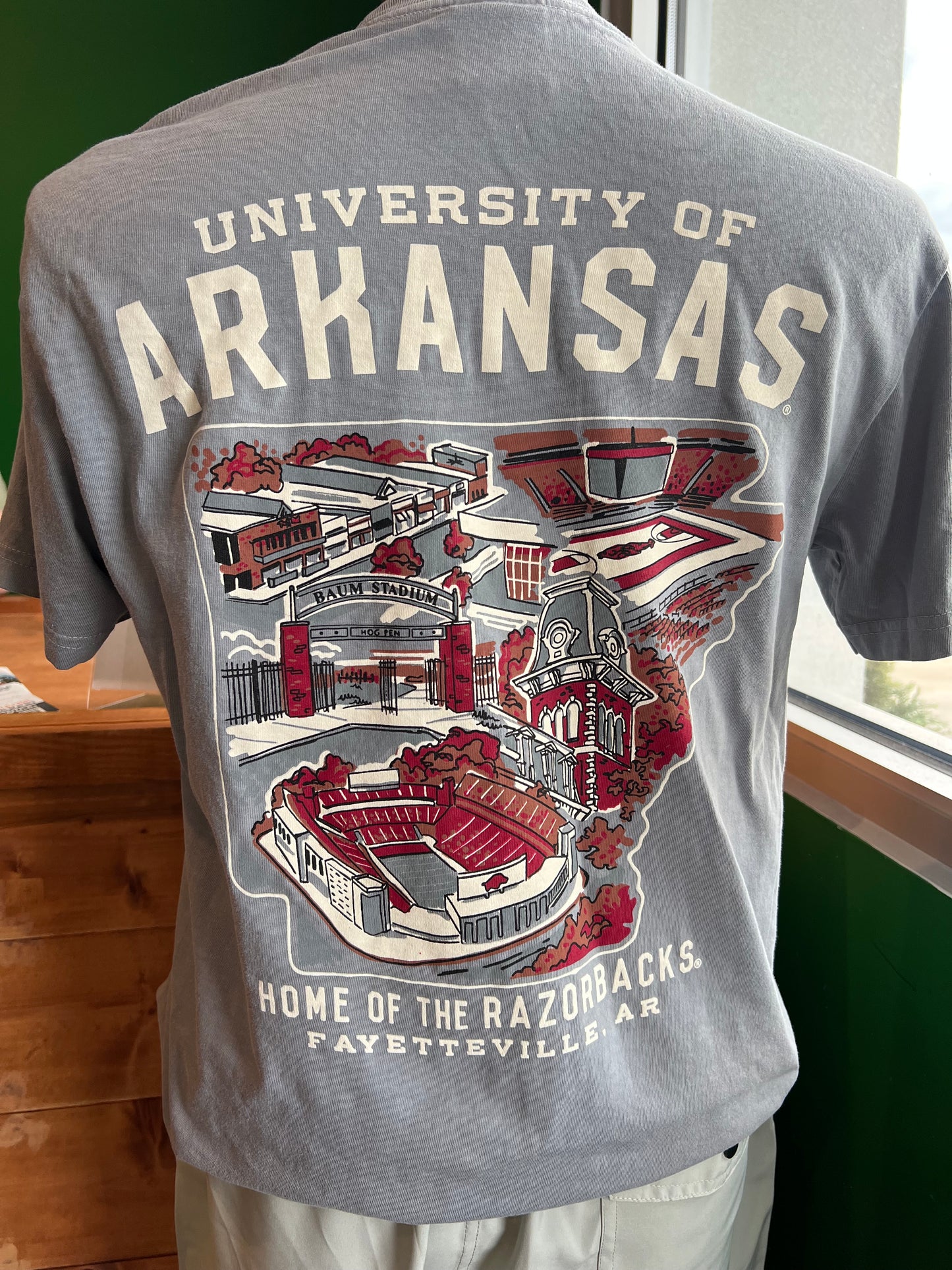 Arkansas College Campus T-Shirt