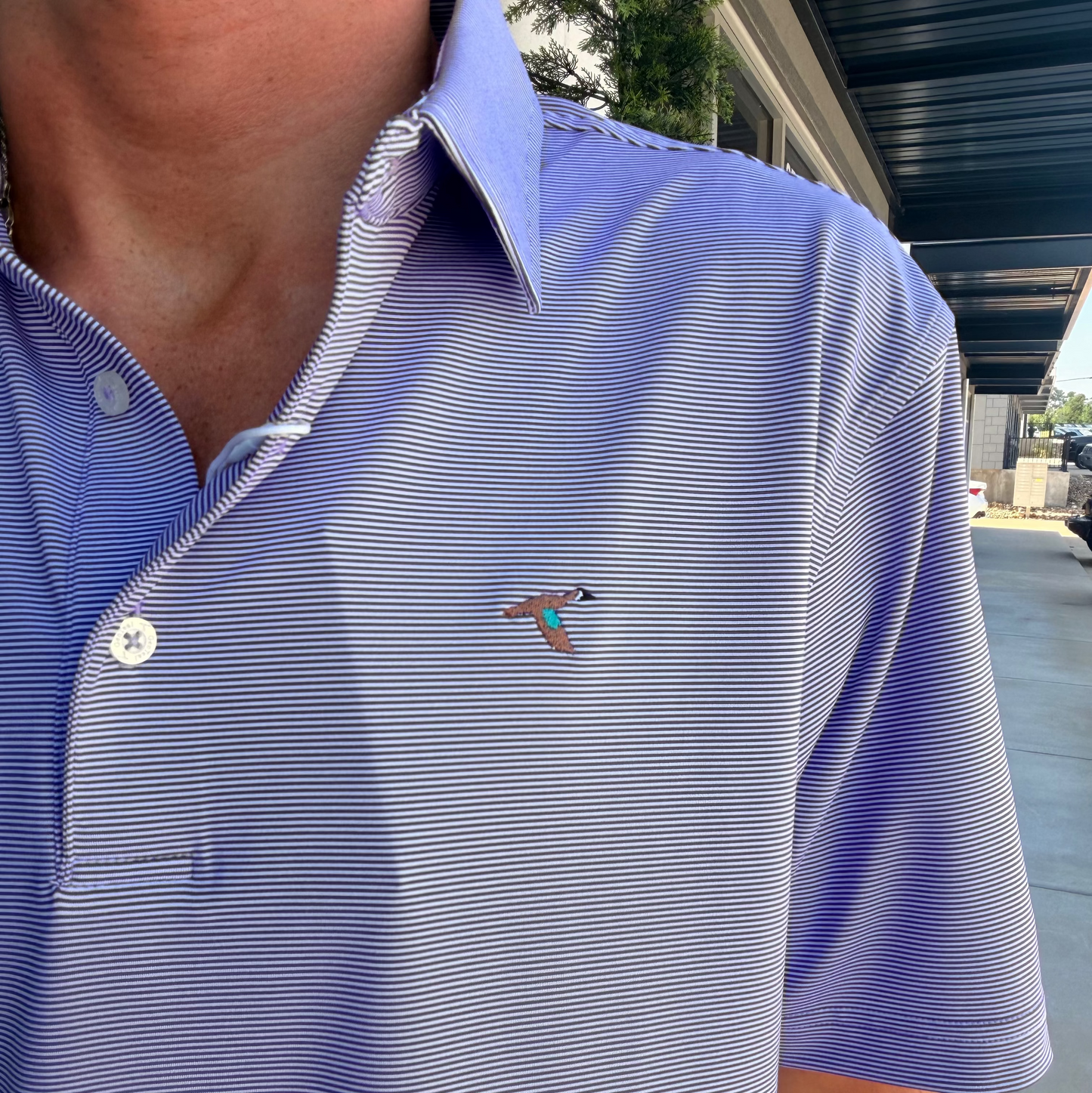 GenTeal Club Pinstripe Performance Polo- Purple