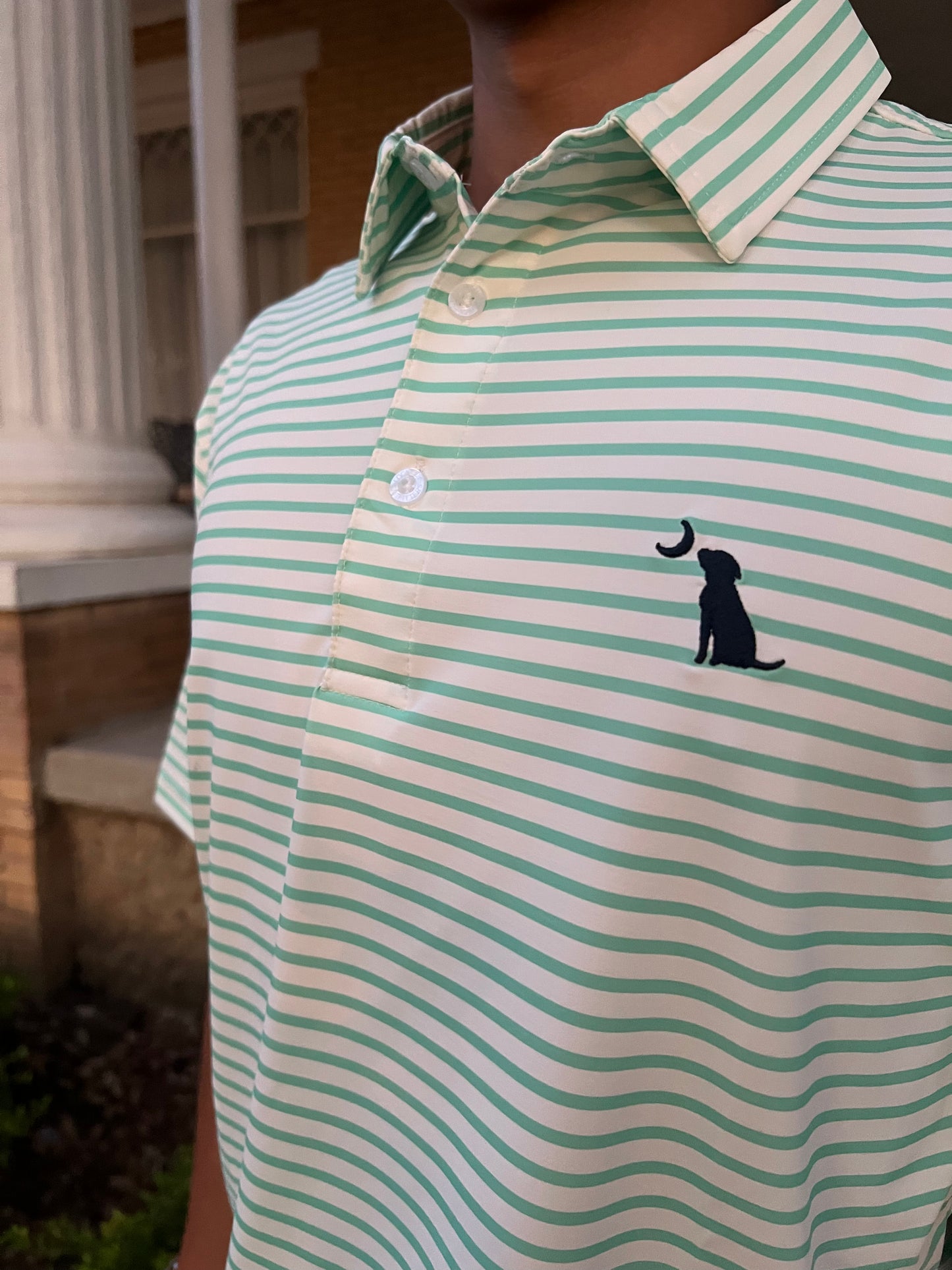 Local Boy Edisto Polo Turquoise