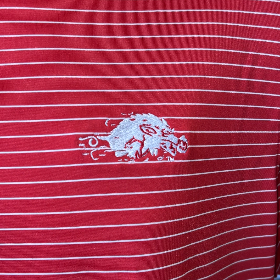 Johnnie-O Slobbering Hog Beau Arkansas Polo