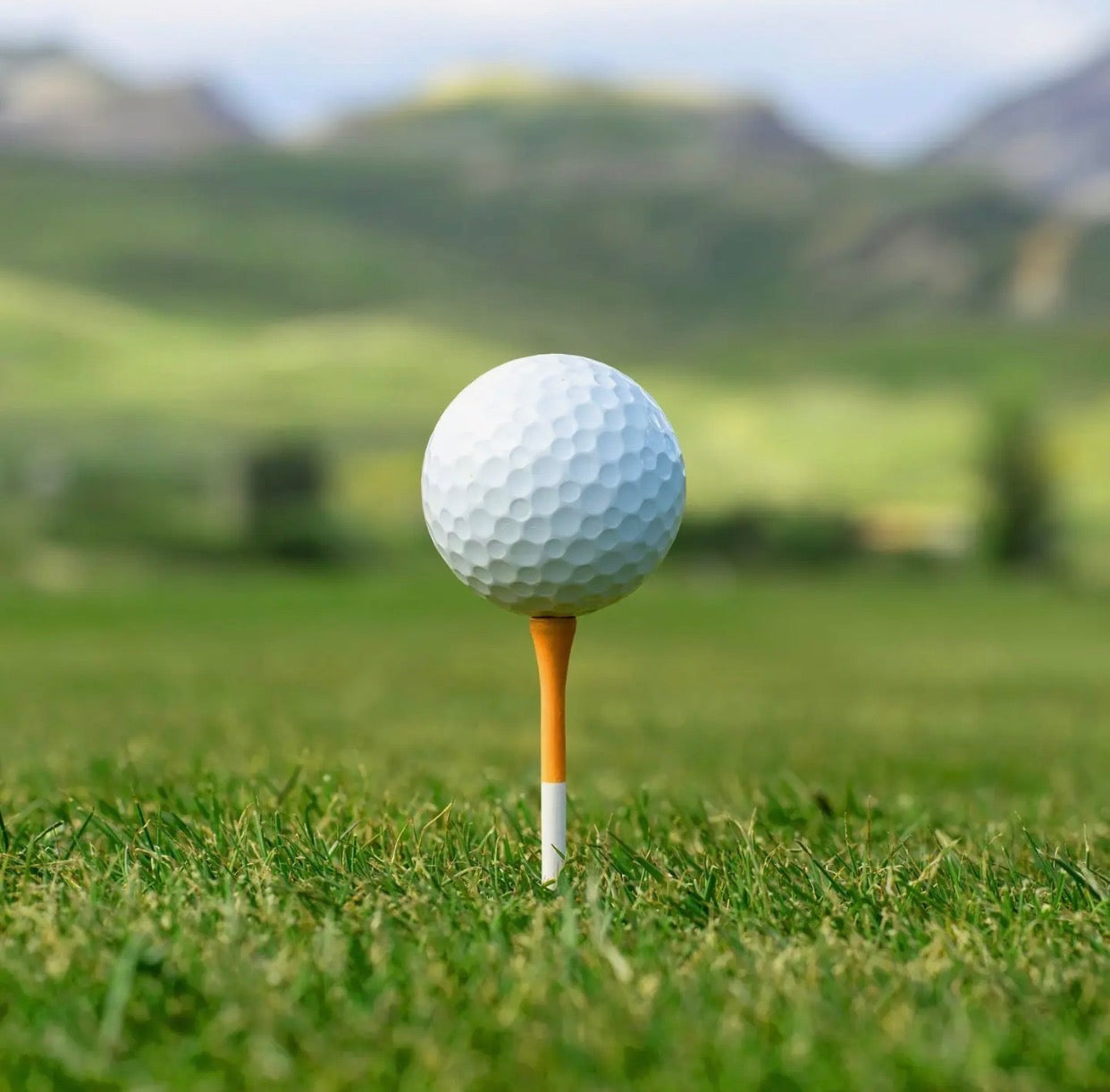 Royal Reds Tee Holder + 50 Bamboo 2¾ Inch Golf Tees