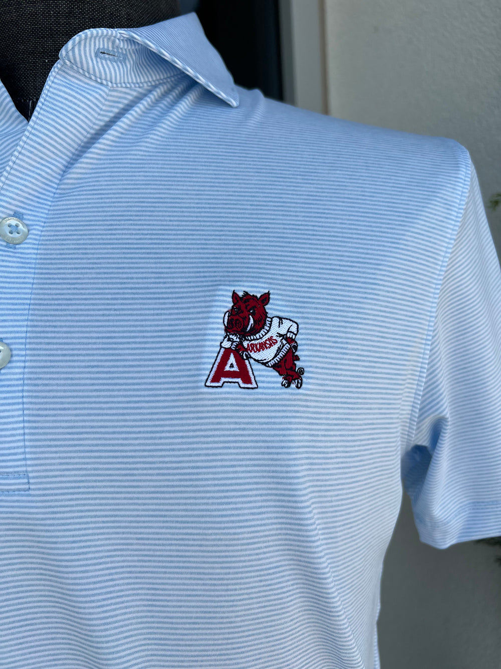 Johnnie-O 'Hog' Leaning on 'A' Vault Logo Lyndonn Polo (Blue)